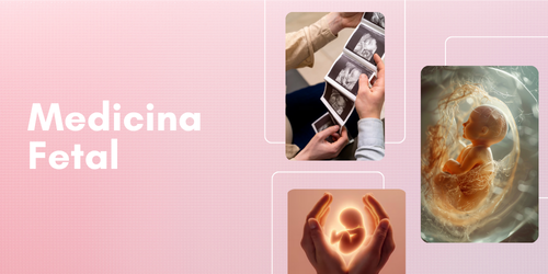 Consulta Medicina Fetal 